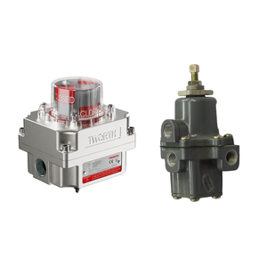 Actionneur pneumatique série Bettis avec régulateur intelligent DVC6200 et filtre 67C - Product Image 3
