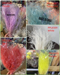 Herbe de la Pampa PPL65 Stipa à Couleurs Dégradées pour Décoration de Mariage et d'Intérieur – Fleur Éternelle pour Composition, Plume Naturelle - Product Image 6