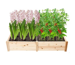 Cama de madera natural <span class=keywords><strong>para</strong></span> plantas de jardín, caja de maceta, cama de cultivo <span class=keywords><strong>para</strong></span> el jardín - Product Image 2