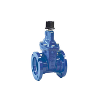 Vanne à opercule manuelle à bride MECH de haute qualité PN10 PN16 DN150, tige non élévatrice, revêtement époxy fusionné, pour eau, support personnalisé