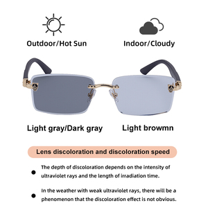 Gafas de Sol Partagas al por Mayor, Diseño Retro, Logotipo Personalizado, Sin Montura, Fotocromáticas, Patillas con Efecto Madera, Protección UV400 para Hombre - Product Image 5