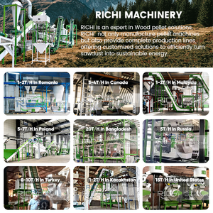 Machine à granulés de bois RICHI <span class=keywords><strong>Bio</strong></span> Mass - Machine à granulés de bois de palmier haute efficacité, production d'une tonne par heure - Product Image 6