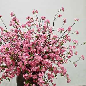 Plante artificielle en pot de fleurs de cerisier réalistes de luxe YR |   Personnalisé pour les espaces commerciaux européens/américains - Product Image 3