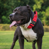 Collier tactique pour chien, résistant à l'usure, multicolores, réglable, pour l'entraînement en extérieur, pour chiens de taille moyenne/grande.