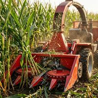 Moissonneuse-broyeuse automotrice 4QZ-2100, largeur de coupe de 2050 mm pour une production accrue de fourrage vert par passage