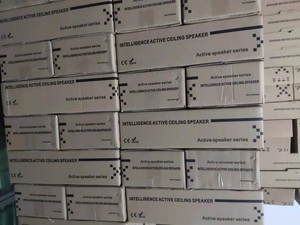 Hoạt Động PA Hệ Thống Loa Powered Loa Hoạt Động 5 Inch 2*20W Wifi Đồng Trục Loa Trần - Product Image 5