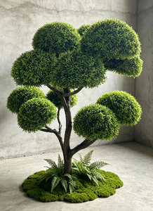 Bonsái Artificial <span class=keywords><strong>de</strong></span> <span class=keywords><strong>Buxus</strong></span> Sinica, Árbol <span class=keywords><strong>de</strong></span> Boj Chino <span class=keywords><strong>de</strong></span> Tacto Real para Vestíbulo <span class=keywords><strong>de</strong></span> Hotel o Villa - Product Image 4