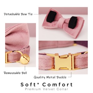 ชุดปลอกคอและสายจูงแมวและสุนัขพันธุ์เล็ก Dustypink Veet พร้อมป้ายชื่อสลักฟรี กระดิ่งทอง ของขวัญวันเกิดสำหรับสัตว์เลี้ยง - Product Image 5