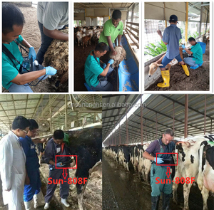 超音波スキャナポータブル動物超音波低価格獣医妊娠用 - Product Image 6