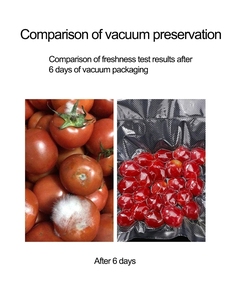 Máquina de Envasado al Vacío Doméstica de 220V, Selladora de Alimentos de Plástico para Almacenamiento en la Cocina, Incluye 10 Bolsas Gratis - Product Image 3