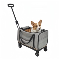 Sac de transport pliable 2 en 1 pour animaux de compagnie, chariot à roulettes télescopique en maille respirante pour chats et chiens, voyages en plein air