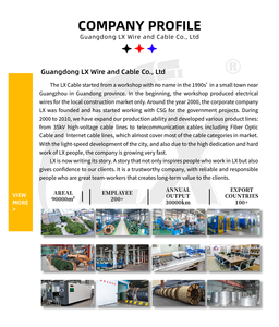 Kit de Terminación de Cable de Alta Tensión XLPE de 70-120mm con Núcleo de Cobre Personalizado para Construcción, 11kv - Product Image 2