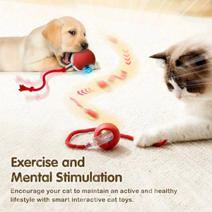 Jouet pour chat et chien en latex automatique moderne résistant aux morsures avec corde pour l'auto-entretenissement et l'exercice - Product Image 3
