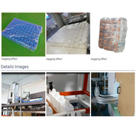 Machine d'emballage entièrement automatique pour bouteilles en plastique vides, avec film en rouleau, pour bouteilles PET et PE