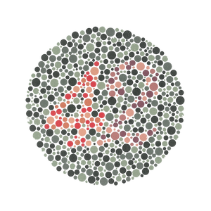 Tabla de prueba de Ishiharas 38 en la edición internacional de Fashihara Daltonismo para instrumentos ópticos de 38 placas - Product Image 4