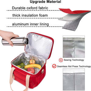 Özel Logo Oxford su geçirmez kullanımlık büyük çift bölmeli öğle yemeği çantası çalışma piknik yürüyüş için geniş açık soğutucu Tote - Product Image 3