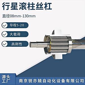 Paire de vis à billes planétaires Rui Yijing 1204-10020 en acier au carbone pour cylindre électrique et presse servo - Product Image 5