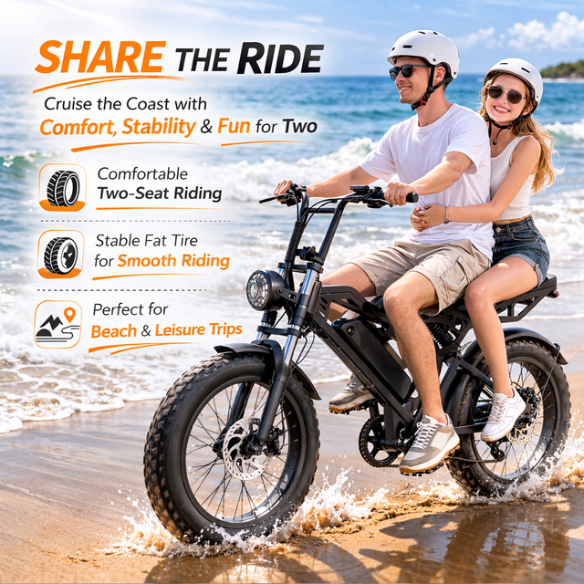 OEM ODM Factory 1000W Retro Fat Tire Electric Bike 48V Full Suspension 2 Seater Off Road Ebike Wholesale Custom