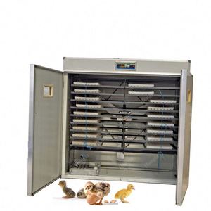 ตู้ฟักไข่19200ระบบพลังงานแสงอาทิตย์80วัตต์ตู้1000 5280อัตโนมัติใช้ในเชิงพาณิชย์ - Product Image 2