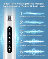 Nettoyeur dentaire ultrasonique intelligent, détartreur ultrasonique, outil de suppression de la plaque dentaire, caméra visuelle HD, élimination des taches et du tartre chez les animaux