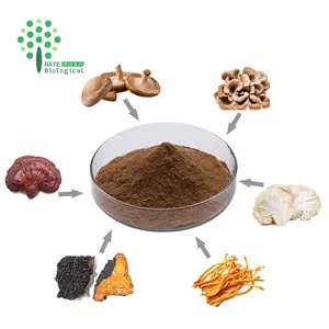 라이온스 갈기 Reishi 동충하초 Chaga 표고 버섯 Maitake 6 in 1 강력한 버섯 추출물 복잡한 분말 혼합