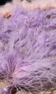 Vente chaude Ins Home Event Decor Préservé Stipa Tenuis Plume Herbe Fleurs pour Mariage et Halloween DIY Arrangements - Product Image 4