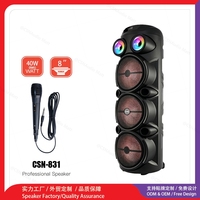 CSN-831 Big Power Triple 8 Inch Woofer, Haut-parleur professionnel de karaoké extérieur avec double tweeter RGB