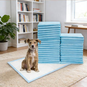 Amostra Grátis Hengtuo: Tapete Higiênico Descartável Super Absorvente para Cães, Tapete de Treinamento para Filhotes à Prova de Vazamento - Product Image 1