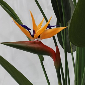 Grande plante artificielle en soie de type oiseau de <span class=keywords><strong>paradis</strong></span> en pot pour la décoration intérieure du salon <span class=keywords><strong>ou</strong></span> de l'agence, verdure artificielle - Product Image 4