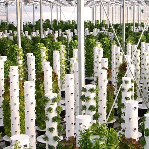 Invernaderos agrícolas, sistema aeropónico Vertical de Agricultura, cultivo hidropónico para jardín torre con componentes de motor y núcleo de bomba - Product Image 4