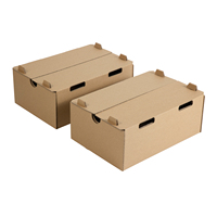 Boîte en carton épaisse pour kiwi et fruit du dragon avec trous de ventilation en gros