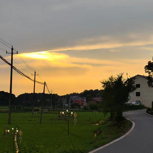 Nouvelles éoliennes en métal en forme d'abeille, trois petites éoliennes en forme d'abeille pour le <span class=keywords><strong>jardin</strong></span> et la décoration <span class=keywords><strong>de</strong></span> <span class=keywords><strong>jardin</strong></span> - Product Image 5