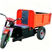 Camion benne électrique, camion à benne basculante robuste à 3 roues pour le transport de matériaux agricoles, fabriqué en Chine