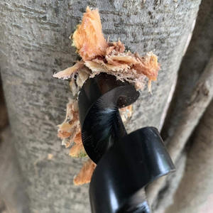 Herramienta <span class=keywords><strong>de</strong></span> perforación <span class=keywords><strong>de</strong></span> madera <span class=keywords><strong>de</strong></span> <span class=keywords><strong>supervivencia</strong></span> al aire libre <span class=keywords><strong>Manual</strong></span> Percer Settlers llave <span class=keywords><strong>de</strong></span> acero al carbono broca <span class=keywords><strong>de</strong></span> barrena <span class=keywords><strong>de</strong></span> madera para acampar aventura <span class=keywords><strong>en</strong></span> <span class=keywords><strong>la</strong></span> jungla - Product Image 5