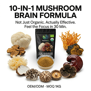 Estratto di Funghi Nutrizionali Biologici USDA EU 10 in 1 Complesso in Polvere: Criniera di Leone, Reishi, Coda di Tacchino - OEM - Product Image 1