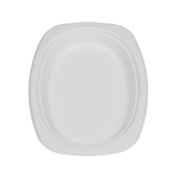 Assiettes en papier jetables compostables robustes de 9 pouces 100% assiettes à dîner biodégradables en fibre de canne à sucre de bagasse