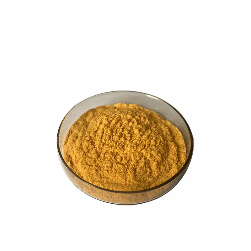 Hochwertiger reiner natürlicher Curcuma-Extrakt 10:1 Curcumin-Pulver Kurkuma-Extrakt