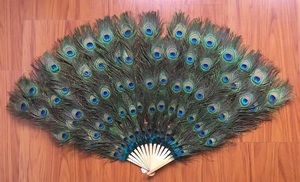 HS grand gros ventilateur de plumes de paon pour les femmes Costume spectacle fête vacances approvisionnement danse mariée mariage décor Photoshoot accessoire - Product Image 2