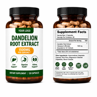 Capsules d'extrait de racine de pissenlit naturel à marque privée, vente directe d'usine, complément alimentaire à base de plantes, échantillon disponible