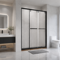 Paroi de douche de style européen de luxe, porte de douche coulissante en verre noir