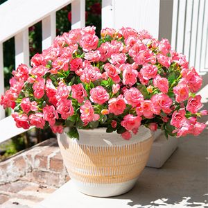 Pétales artificiels en polyester et soie, type chrysanthèmes boutonnés, pour décoration <span class=keywords><strong>de</strong></span> brouette, arrosoir, <span class=keywords><strong>bain</strong></span> d'oiseaux, mangeoire et statues - Product Image 1