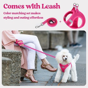 Escape Proof Safe Adjustable Kitten Vest <strong>Harnesses</strong> Soft Breathable Mesh Collars with Reflective Strips <strong>Cat</strong> <strong>Harness</strong> and Leash Set - Product Image 2