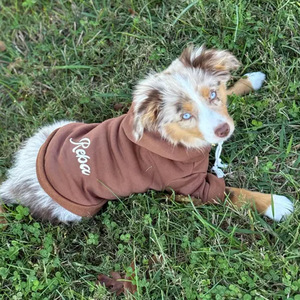 Sudadera con Capucha Personalizada, Simple y Linda para Perros y Gatos, de Poliéster Ecológico, Bordada, para Fiestas de Primavera, Regalo para Mascotas - Product Image 2