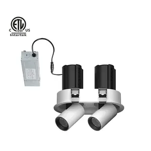 Daytonled Twins C Oval Square Frameless Series ETL North America Architectural Anti-glare Double Heads Recess Led Light