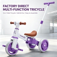 Tricycle multifonctionnel directement de l'usine avec poignée de poussée, grandes roues résistantes à l'usure, lumières et musique, prise en charge de la personnalisation OEM/ODM