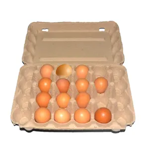 Eco-friendly carton egg storage box packaging paper egg tray for 30 eggs