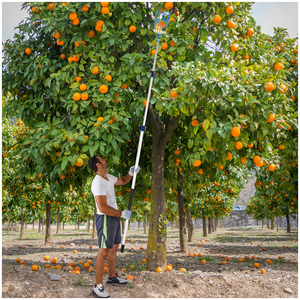 Vendendo caldo palo telescopico regolabile raccoglitore di frutta in plastica mele arancio avocado in alluminio raccoglitore di frutta