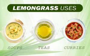 Hierba Limón Orgánica Seca de Color Verde Claro y Amarillo Pálido, Calidad Sostenible - Product Image 6