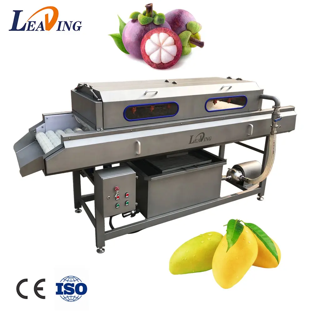 Industrial Electric Ozone Mango Cleaning Machine Automatic Fruit and Vegetable Washer