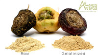 Fabricant de poudre d'extrait de racine de Maca biologique pur du pérou